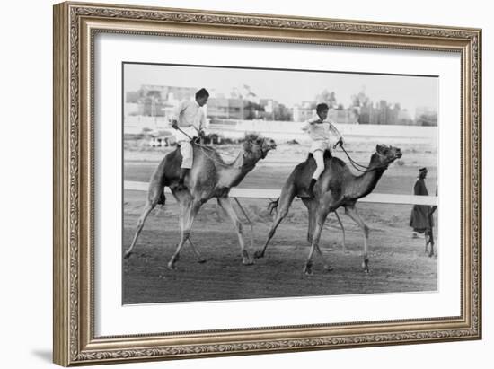 Camel Race in Saudi Arabia in Honour of Queen Elizabeth Ii's Visit to To the Middle East, 1979-null-Framed Photo