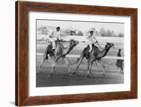 Camel Race in Saudi Arabia in Honour of Queen Elizabeth Ii's Visit to To the Middle East, 1979-null-Framed Photo