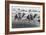 Camel Race in Saudi Arabia in Honour of Queen Elizabeth Ii's Visit to To the Middle East, 1979-null-Framed Photo