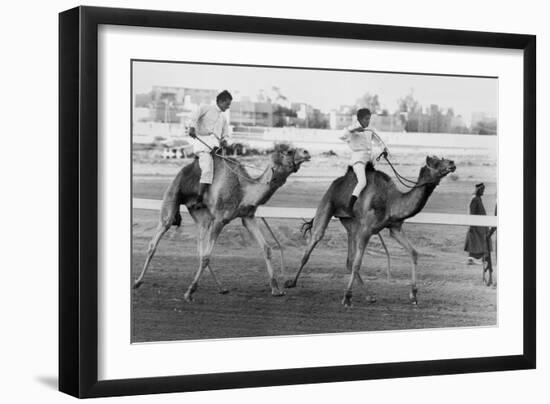 Camel Race in Saudi Arabia in Honour of Queen Elizabeth Ii's Visit to To the Middle East, 1979-null-Framed Photo