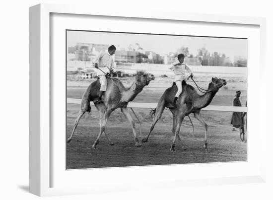 Camel Race in Saudi Arabia in Honour of Queen Elizabeth Ii's Visit to To the Middle East, 1979-null-Framed Photo