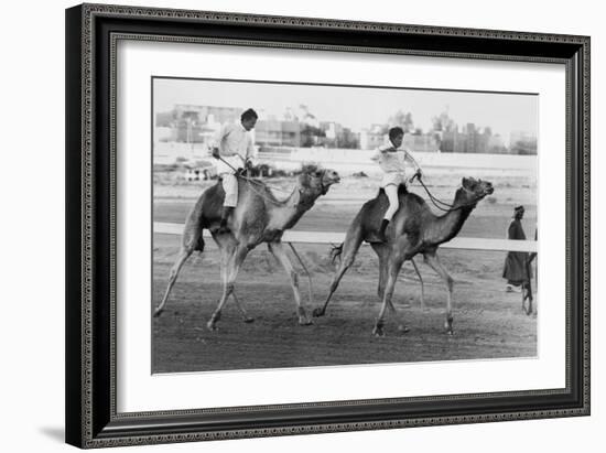 Camel Race in Saudi Arabia in Honour of Queen Elizabeth Ii's Visit to To the Middle East, 1979-null-Framed Photo