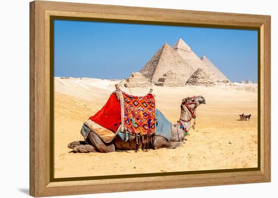 Camel Resting by the Pyramids, Giza, Egypt-Richard Silver-Framed Premier Image Canvas