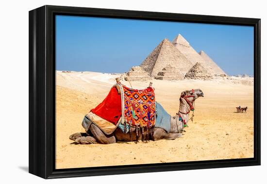 Camel Resting by the Pyramids, Giza, Egypt-Richard Silver-Framed Premier Image Canvas