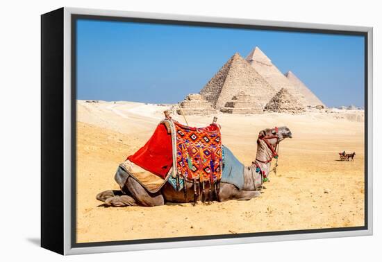 Camel Resting by the Pyramids, Giza, Egypt-Richard Silver-Framed Premier Image Canvas