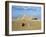 Camel Rider at Giza Pyramids, Giza, Cairo, Egypt, Africa-Nigel Francis-Framed Photographic Print