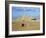 Camel Rider at Giza Pyramids, Giza, Cairo, Egypt, Africa-Nigel Francis-Framed Photographic Print