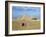 Camel Rider at Giza Pyramids, Giza, Cairo, Egypt, Africa-Nigel Francis-Framed Photographic Print