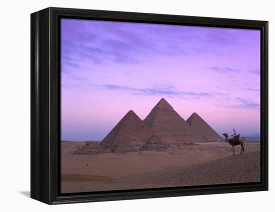 Camel Rider at Giza Pyramids, Giza, UNESCO World Heritage Site, Cairo, Egypt, North Africa, Africa-Nigel Francis-Framed Premier Image Canvas