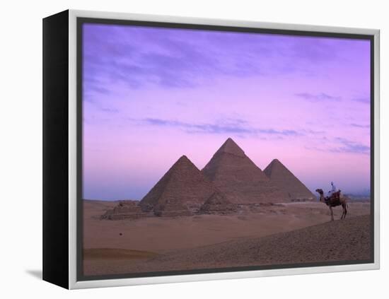 Camel Rider at Giza Pyramids, Giza, UNESCO World Heritage Site, Cairo, Egypt, North Africa, Africa-Nigel Francis-Framed Premier Image Canvas