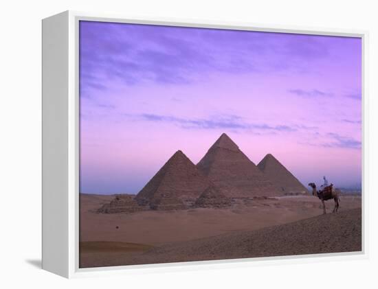 Camel Rider at Giza Pyramids, Giza, UNESCO World Heritage Site, Cairo, Egypt, North Africa, Africa-Nigel Francis-Framed Premier Image Canvas