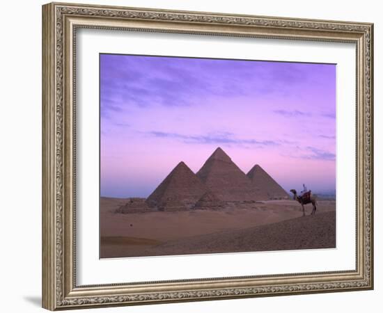 Camel Rider at Giza Pyramids, Giza, UNESCO World Heritage Site, Cairo, Egypt, North Africa, Africa-Nigel Francis-Framed Photographic Print