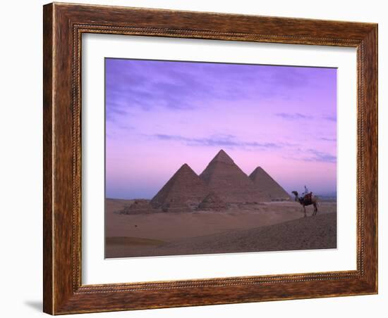 Camel Rider at Giza Pyramids, Giza, UNESCO World Heritage Site, Cairo, Egypt, North Africa, Africa-Nigel Francis-Framed Photographic Print