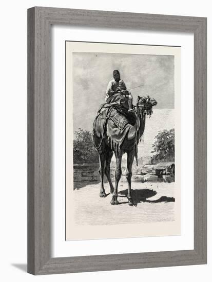 Camel Rider, Egypt, 1879-null-Framed Giclee Print