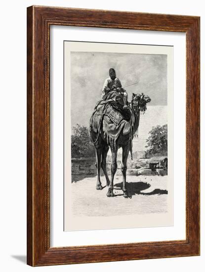 Camel Rider, Egypt, 1879-null-Framed Giclee Print