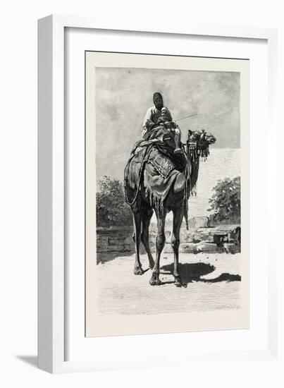 Camel Rider, Egypt, 1879-null-Framed Giclee Print