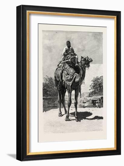 Camel Rider, Egypt, 1879-null-Framed Giclee Print