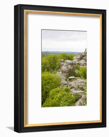 Camel Rock, Garden of the Gods Recreation Area, Shawnee National Forest, Saline County, Illinois-Richard & Susan Day-Framed Photographic Print