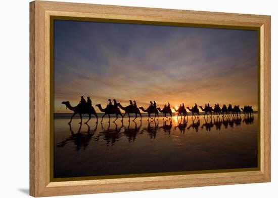 Camel Safari Famous Camel Safari on Broom's Cable-null-Framed Premier Image Canvas