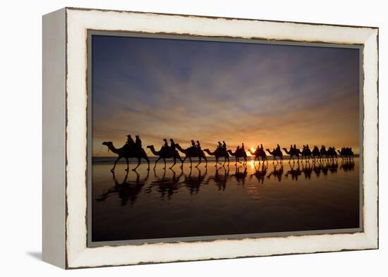 Camel Safari Famous Camel Safari on Broom's Cable-null-Framed Premier Image Canvas