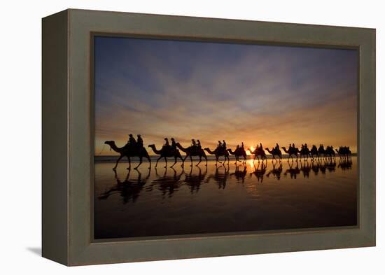 Camel Safari Famous Camel Safari on Broom's Cable-null-Framed Premier Image Canvas