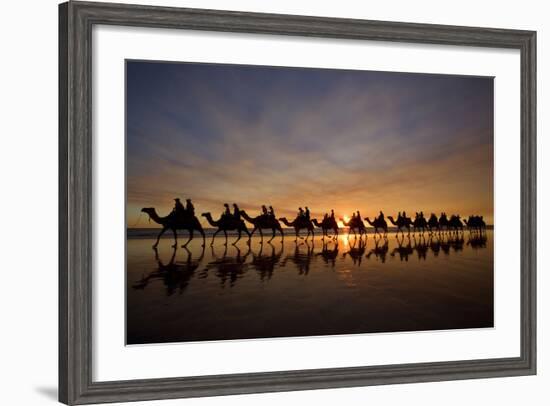 Camel Safari Famous Camel Safari on Broom's Cable-null-Framed Photographic Print