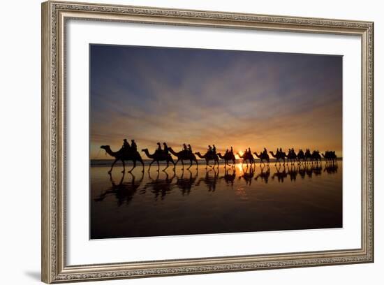 Camel Safari Famous Camel Safari on Broom's Cable-null-Framed Photographic Print