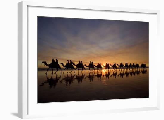 Camel Safari Famous Camel Safari on Broom's Cable-null-Framed Photographic Print