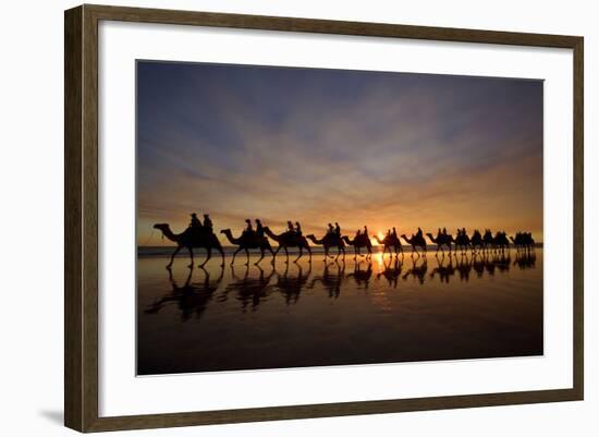 Camel Safari Famous Camel Safari on Broom's Cable-null-Framed Photographic Print