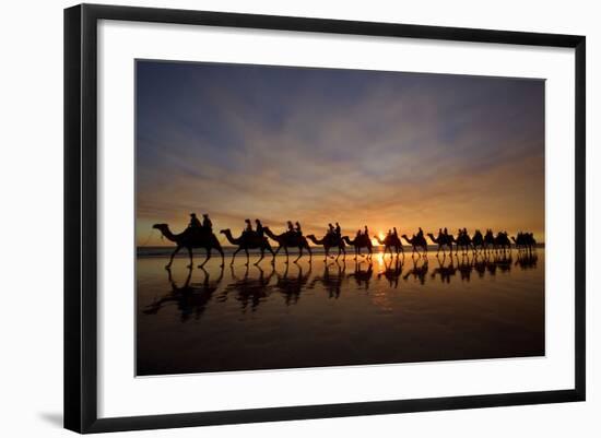 Camel Safari Famous Camel Safari on Broom's Cable-null-Framed Photographic Print