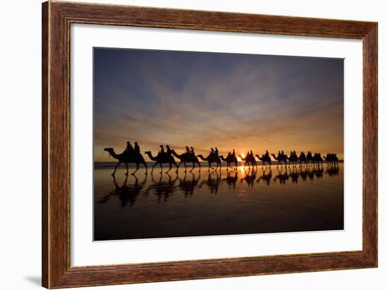 Camel Safari Famous Camel Safari on Broom's Cable-null-Framed Photographic Print