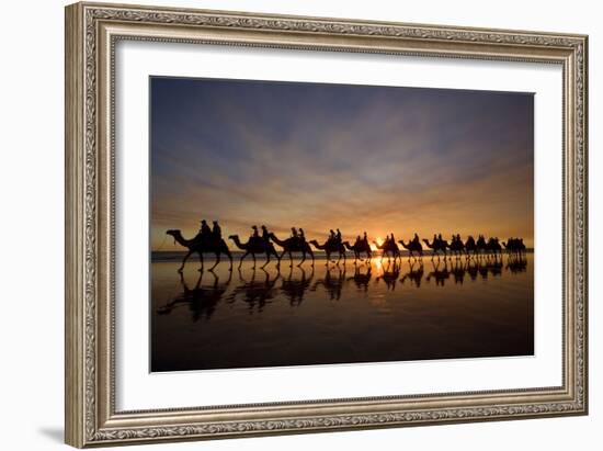 Camel Safari Famous Camel Safari on Broom's Cable-null-Framed Photographic Print