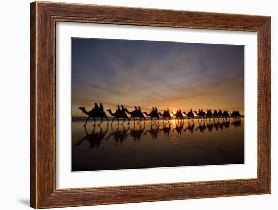 Camel Safari Famous Camel Safari on Broom's Cable-null-Framed Photographic Print