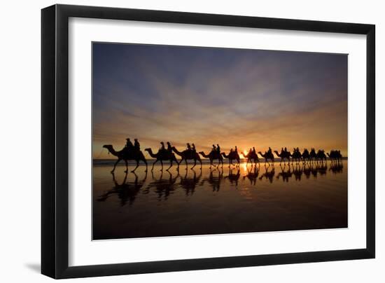 Camel Safari Famous Camel Safari on Broom's Cable-null-Framed Photographic Print