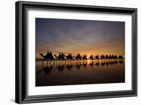 Camel Safari Famous Camel Safari on Broom's Cable-null-Framed Photographic Print