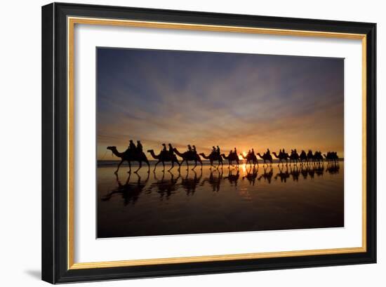 Camel Safari Famous Camel Safari on Broom's Cable-null-Framed Photographic Print