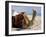 Camel, Sealine Beach Resort, Qatar, Middle East-Charles Bowman-Framed Photographic Print