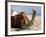 Camel, Sealine Beach Resort, Qatar, Middle East-Charles Bowman-Framed Photographic Print