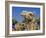 Camel, Sealine Beach Resort, Qatar, Middle East-Charles Bowman-Framed Photographic Print