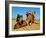 Camel Sleeping during a Desert Safari Pause-paul prescott-Framed Photographic Print