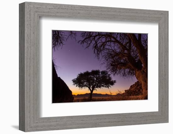 Camel thorn tree silhouetted at sunset in the desert, Namibia-Emanuele Biggi-Framed Photographic Print