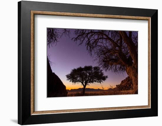 Camel thorn tree silhouetted at sunset in the desert, Namibia-Emanuele Biggi-Framed Photographic Print