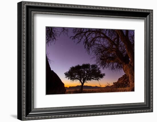 Camel thorn tree silhouetted at sunset in the desert, Namibia-Emanuele Biggi-Framed Photographic Print