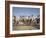 Camel Traders at the Early Morning Livestock Market in Hargeisa, Somaliland, Somalia, Africa-Mcconnell Andrew-Framed Photographic Print