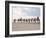 Camel Train Led by Afar Nomad in Very Hot and Dry Desert, Danakil Depression, Ethiopia, Africa-Tony Waltham-Framed Photographic Print