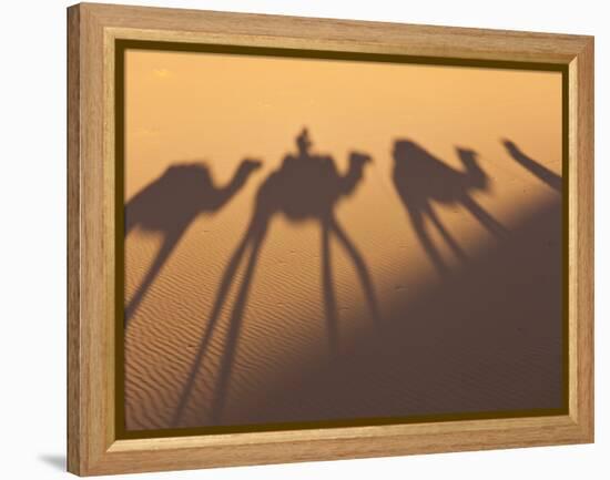 Camel Train Shadows, Erg Chebbi, Sahara Desert, Morocco-Peter Adams-Framed Premier Image Canvas