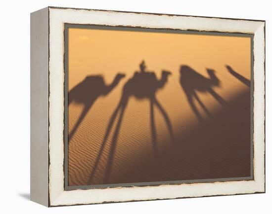 Camel Train Shadows, Erg Chebbi, Sahara Desert, Morocco-Peter Adams-Framed Premier Image Canvas