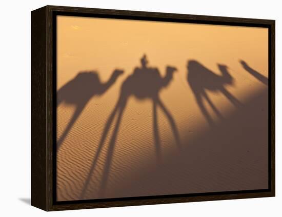 Camel Train Shadows, Erg Chebbi, Sahara Desert, Morocco-Peter Adams-Framed Premier Image Canvas