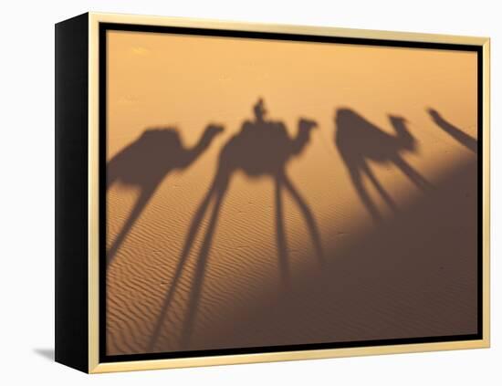 Camel Train Shadows, Erg Chebbi, Sahara Desert, Morocco-Peter Adams-Framed Premier Image Canvas