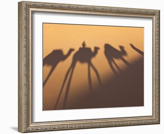 Camel Train Shadows, Erg Chebbi, Sahara Desert, Morocco-Peter Adams-Framed Photographic Print